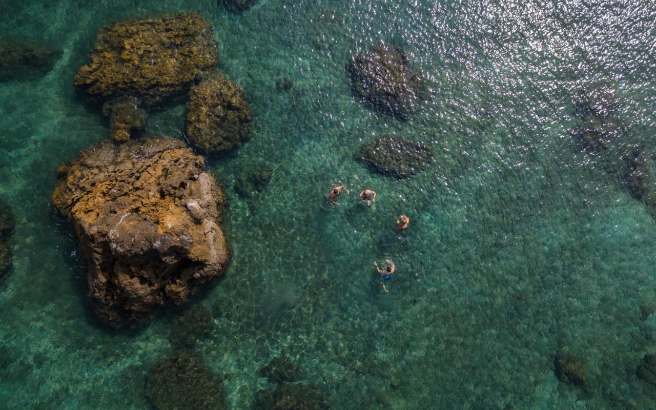 Los Vivos Beachfront Experience Pochote Zewnętrze zdjęcie